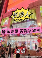 长沙买猫狗的地方在哪里？实地探访这确保安全选购您的爱宠