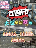 句容买宠物猫狗哪里便宜?这里实体店选购宠物，安全更值得信赖