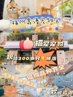 福州买宠物猫狗最好去哪里买？实地探访这确保安全选购您的爱宠