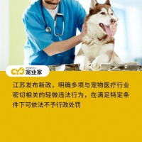江苏出台宠物医疗“免罚清单”，“人药兽用”有条件不罚了