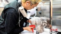 “拟人化”养宠兴起 催热中国宠物情感消费市场