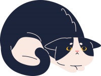 怀孕了，家里的宠物留不留？