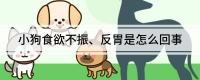 小狗食欲不振、反胃是怎么回事