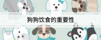 狗狗饮食的重要性