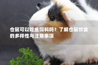 仓鼠可以吃鱼饲料吗？了解仓鼠饮食的多样性与注意事项