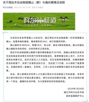 又现动物园猴猫共栖情况，官方：为除鼠患，无欺凌现象，专家：很难和平相处