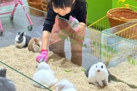 商场里的“动物乐园”成解压新选择