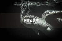 龟壳心脏病