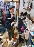 女子称建救助站收养2000只流浪猫狗，村委会回应