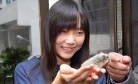 2016年女兽医给700多只狗安乐死后，却将最后一针给了新婚的自己