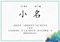 宠物爬宠昵称小名大全