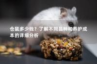 仓鼠多少钱？了解不同品种和养护成本的详细分析