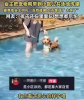 三亚女子泳池内给狗洗澡后续：业主暴怒，物业发声，视频曝光，已社死，结局很舒适