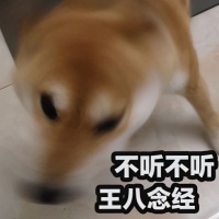 宠物狗脾气倔怎么办啊