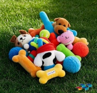 养狗狗、宠物鸟，解锁宠物托运新体验