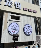 节前“萌宠经济”升温：寄养服务“一窝难求” 宠物服饰旺销