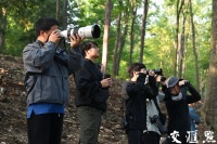 再创新高！南京城市观鸟大赛24小时记录到183种野生鸟类