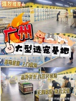 广州哪里买宠物靠谱安全？这里实体店选购宠物，安全更值得信赖