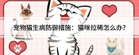 宠物猫生病防御措施：猫咪拉稀怎么办？