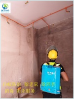 肇庆端州区果蝇防治公司 除臭虫 江门市瑞可环境科技有限公司