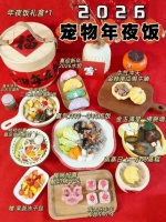 “毛孩子”也要过春节！宠物春节上门喂养爆单，专属年夜饭一份上百元！