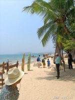 带宠物家庭三亚4天3夜攻略？不如先看可行性与附加费