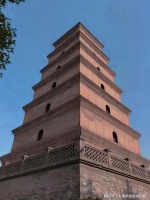 带宠物家庭西安4天3夜攻略？不如先看可行性与附加费