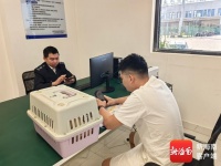 三亚设4个免费宠物检疫协检点！春节携宠出行“通关”指南来了