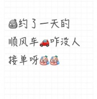 女子携宠遭顺风车司机索两倍车费 宠物出行难题引热议