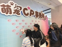 相亲、领养、拍写真……冰城首届萌宠秀那些暖心瞬间