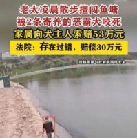 恶犬夺命：50万索赔背后的"人祸"之痛