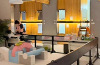 春节寄养一房难求，宠物安置亟待升级