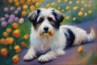 狗狗挑食怎么办？20 + 铲屎官亲测妙招，让毛孩子主动干饭！