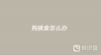 狗挑食怎么办 狗挑食怎么解决