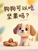 狗狗能吃坚果吗?这些风险与禁忌主人要知道