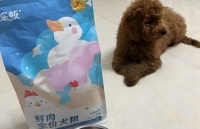 小型犬狗粮品牌推荐：乐顿鲜肉狗粮，挑食与肠胃敏感的克星