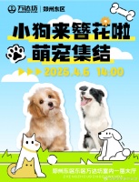 【郑州萌宠春日派对】带毛孩子玩转「小狗簪花会」！免费领礼+运动会+T台走秀‐这个周末，郑州的铲屎官们有福啦！4月6日（周日）下午14:00东区万达坊一层大厅‐联合iGo宠物联盟搞大事——毛孩子专属狂欢日来咯！✨✅ 14:00