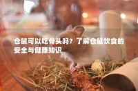 仓鼠可以吃骨头吗？了解仓鼠饮食的安全与健康知识