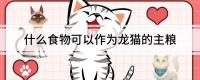 什么食物可以作为龙猫的主粮
