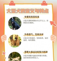 哪些大型犬品种比较凶猛？它们的特点是什么？
