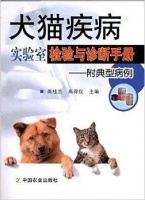 猫咪疾病诊断与治疗指南