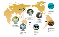 生生不息猫粮精选全球优质原料 让宠主们安全感满满