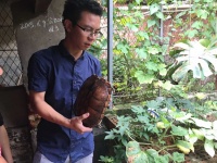 西乡塘区华强街道团工委组织青年到广西龟鳖繁育中心参观