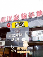 武汉宠物市场靠谱企业