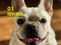 象乡宠物食品 | 法斗的呼吸问题