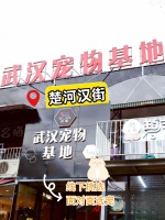 武汉宠物市场性价比高的厂家