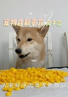 宠物狗狗可以吃几个蛋黄（营养需求和狗狗体型对蛋黄摄入量的影响）