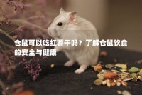 仓鼠可以吃红薯干吗？了解仓鼠饮食的安全与健康