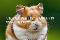 仓鼠可以吃南瓜子吗？了解南瓜子的营养与仓鼠的饮食需求