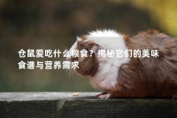 仓鼠爱吃什么粮食？揭秘它们的美味食谱与营养需求